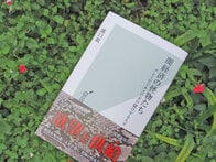 出会い系サイトから危険ドラッグまで、グレーなビジネスで荒稼ぎする人たち