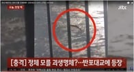 韓国ソウルの観光名所に怪物が出没!?