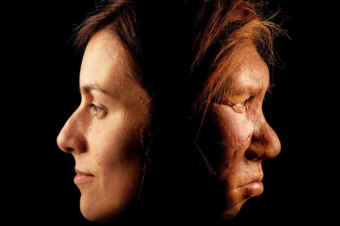 解説】最新の研究で解明進む、ネアンデルタール人の新事実──そして