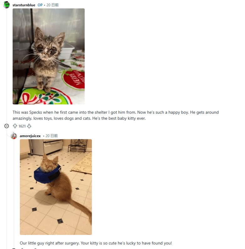 スクリーンショット (62).png