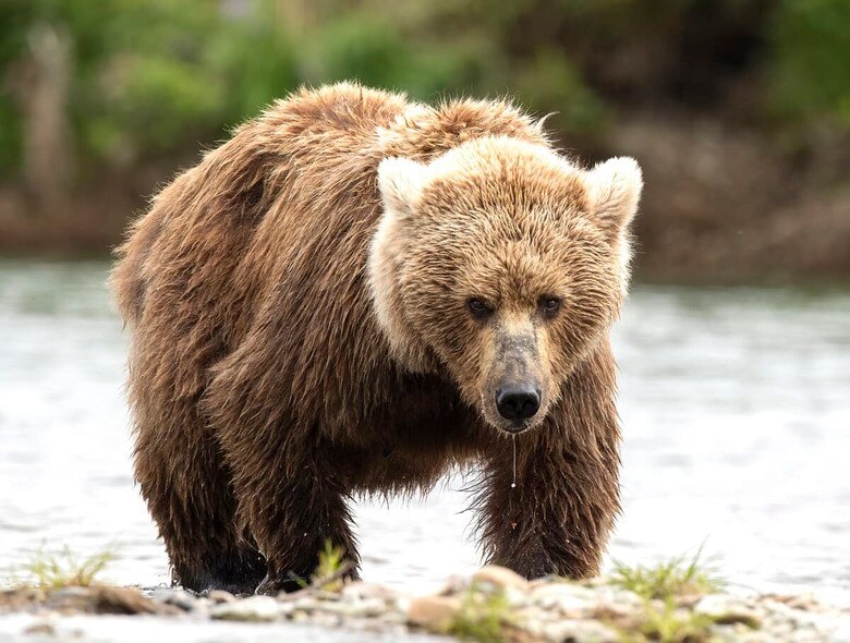 （写真はイメージです）　Dave Fleishman-Just a Little Light Fine Photography-iStock