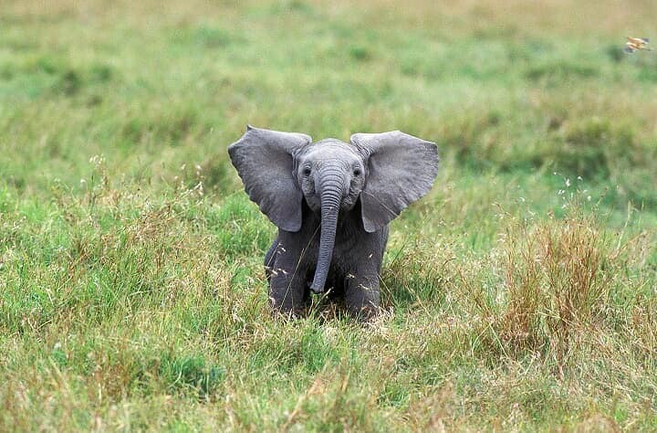 （写真はイメージです）　slowmotiongli-iStock