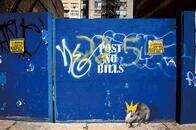 新型コロナ都市封鎖が生み出す、動物たちの新世界