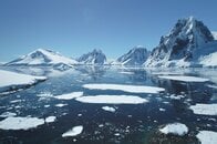 南極海の深海で撮影された「いるはずのない巨大生物」…数百年生きているかもしれない、その生物の正体は？