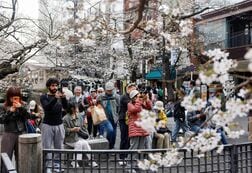 4月訪日客5.5％減、復活祭休暇またがり客足分散　桜人気で今年最多