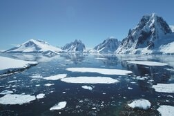 南極海の深海で撮影された「いるはずのない巨大生物」…数百年生きているかもしれない、その生物の正体は？