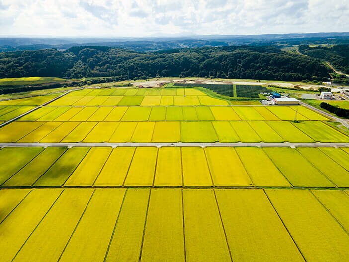 再生可能エネルギー