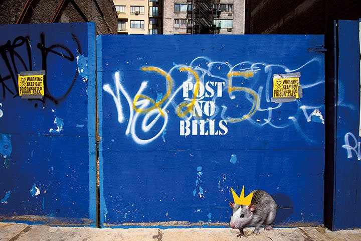 人類の行動パターンの大きな変化は自然界に影響を及ぼすはずだ　PHOTO ILLUSTRATION BY SLATE. PHOTO BY MASKOT/GETTY IMAGES PLUS