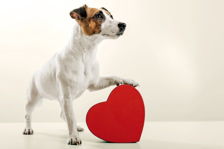 INSIDE STUDIO/GETTY IMAGES