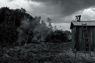 【写真特集】暗黒郷アマゾンはどこまで続く