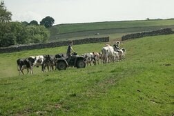 農業と動物保護のどちらが大事？　病原菌とその宿主と戦う農家の苦悩とは