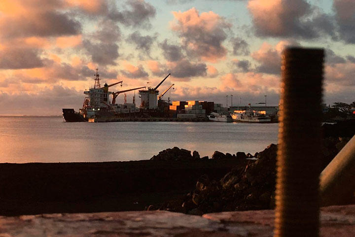 8月7日、サモアのサバイー島で、中国が新たな港湾の建設を検討しているという。写真は7月、日本の支援で拡充されたアピア港で荷揚げするコンテナ船（2019年　ロイター/Jonathan Barrett）