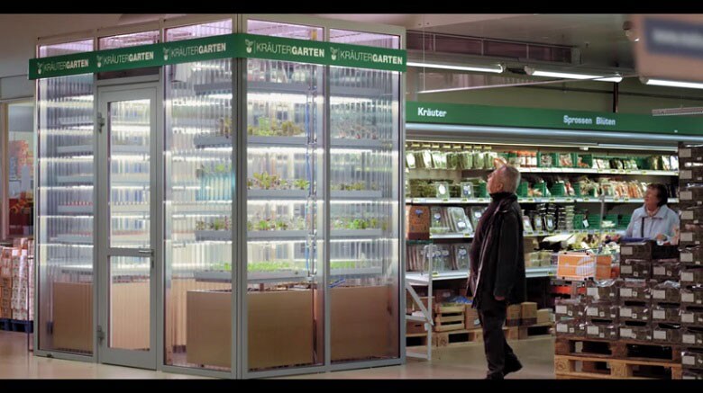 店内で栽培した葉もの野菜をそのままその店で売るのだから、これ以上の新鮮さはないだろう　Infarm Berlin-YouTube