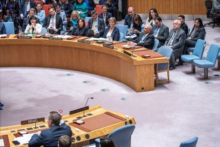 　４月１８日、国連安全保障理事会は、パレスチナの国連正式加盟を勧告する決議案を否決した。米国が拒否権を行使した。ニューヨークで撮影（２０２４年　ロイター/Eduardo Munoz）