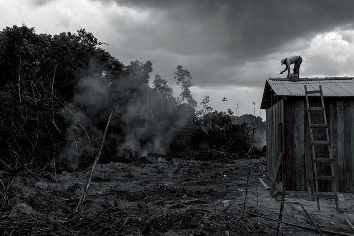 無秩序な開拓（写真の説明は文末に）