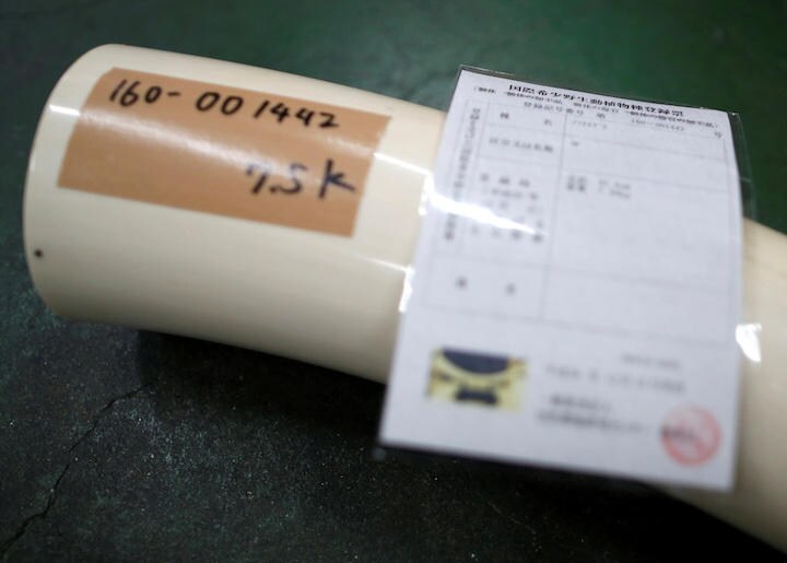 都内の象牙印鑑工場で（写真は2016年11月28日、東京）　Issei Kato-REUTERS