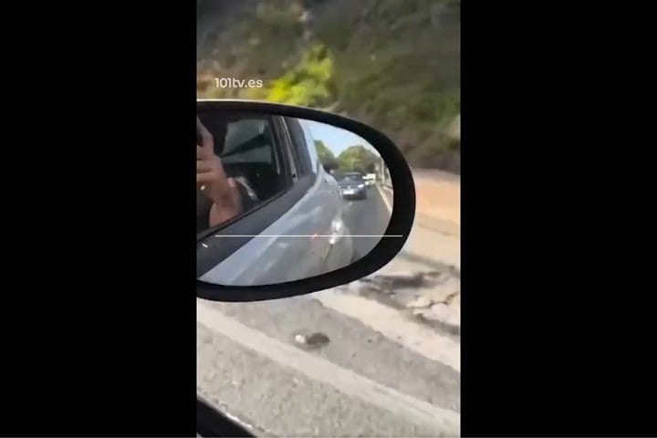 X投稿より