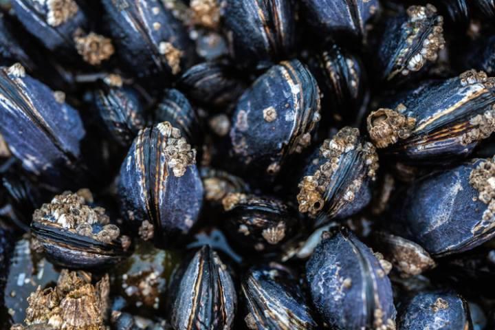 写真はイメージ　cnicbc-iStock