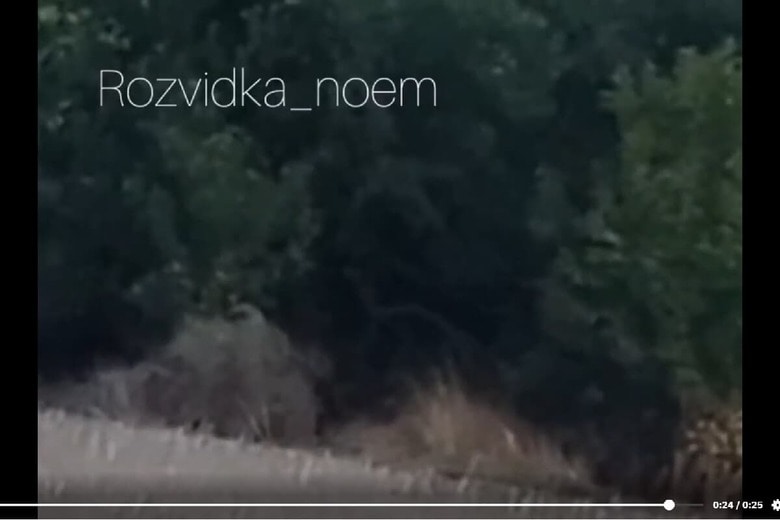 r/CombatFootage/reddit