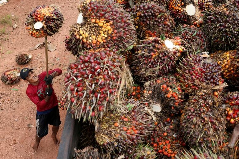 写真は2025年7月、インドネシアの中央カリマンタン州東コタワリンギン県で撮影。REUTERS/Ajeng Dinar Ulfiana