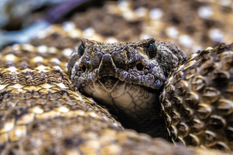 （写真はイメージです）　Chris Curry-Unsplash