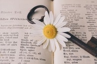 「日本文学を英語圏に紹介したい」...戦後、出版にたずさわった「プレイヤーたち」の葛藤と翻訳の「あいだ」について