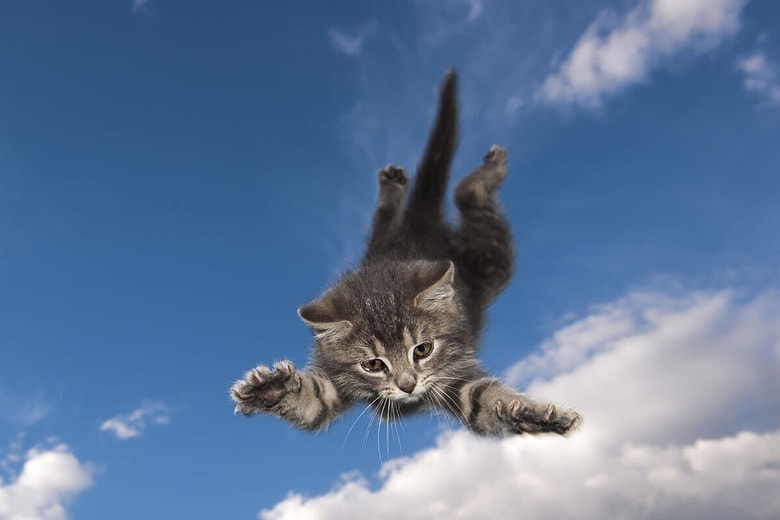 （写真はイメージです）　Miroslav Halama-shutterstock