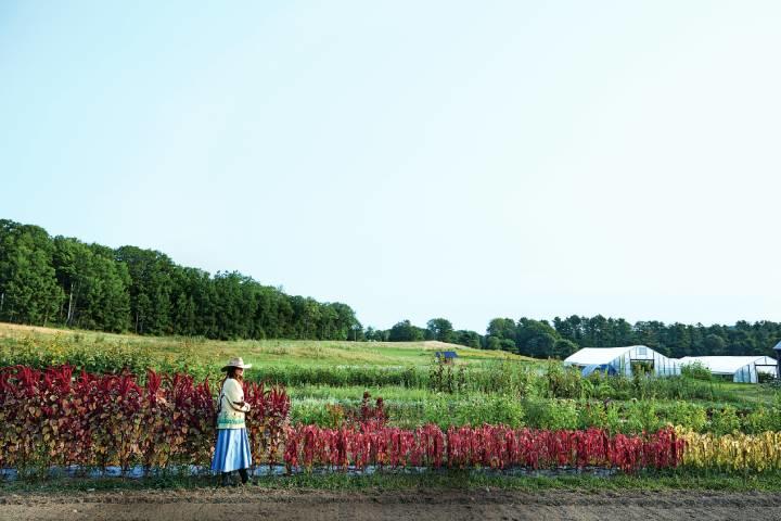 植物を自然に委ねて育てることで自分も進化できると語るクランツ（写真は全て彼女の新共著『庭はどこにでも』より）　PHOTOGRAPH BY YOSHIHIRO MAKINO