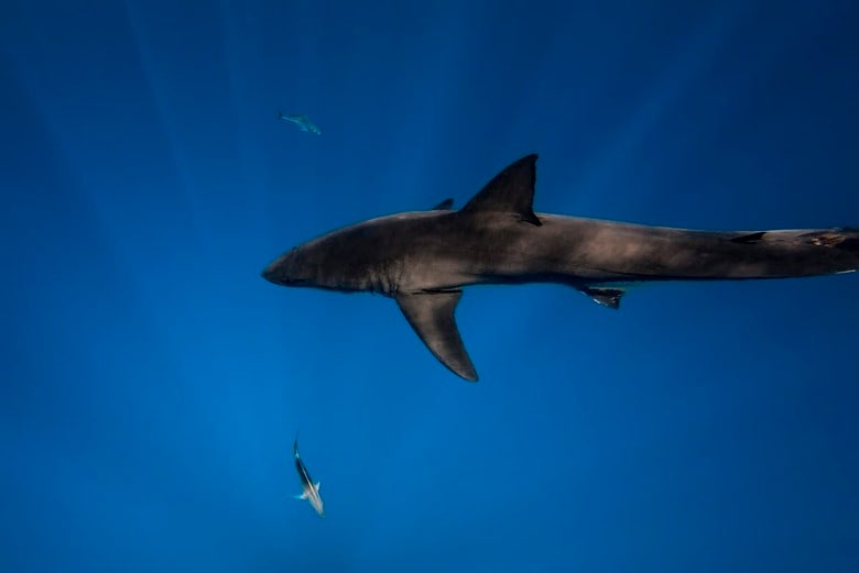 （写真はイメージです）　lindsay_imagery-iStock