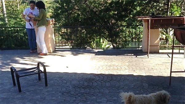 紘子さんのビデオ撮影に参加するムク犬（スマホ撮影：いとうせいこう）