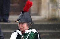 アン王女、ヘンリー王子の「顔を羽根でブロック」について沈黙を破る