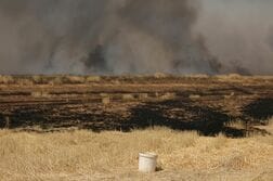 米軍、シリア空爆で「イスラム国」幹部殺害　対テロ作戦の一環