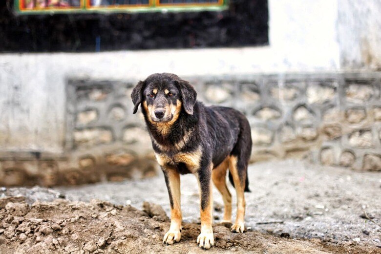 写真はイメージです　N K／SHUTTERSTOCK