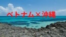 ベトナムにおける沖縄料理の可能性 ――行政連携で拓く「南の日本」ブランド戦略と、「語れる物語」を持つ食の力 （1）