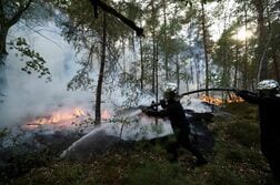 熱波続くパリ近郊で山火事、ほぼ鎮火　当局は放火の可能性示唆