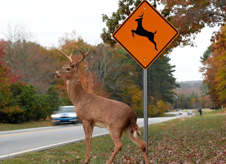 （写真はイメージです）　AdShooter-iStock