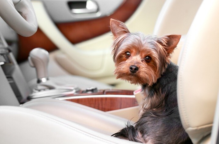 降りるときは必ず一緒に Savushkin-iStock