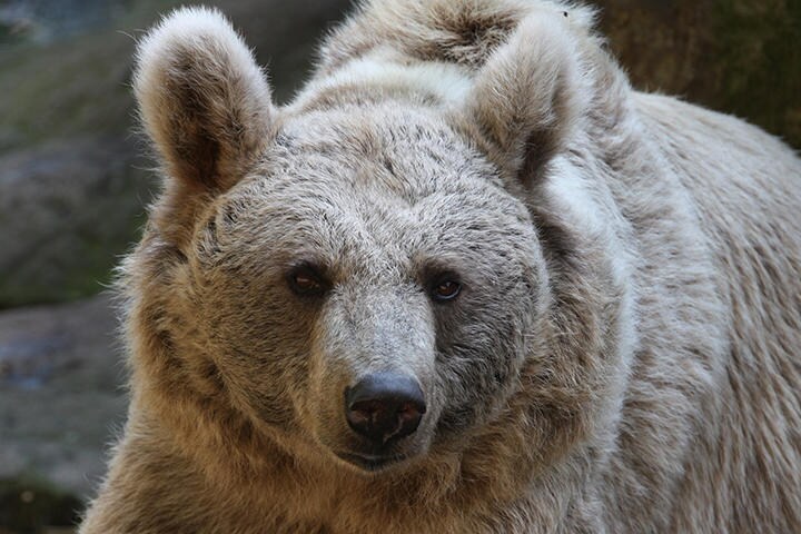 （写真はイメージです）　mb-fotos-iStock