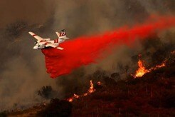 トランプ政権･予算削減案で環境政策に影響も...「誰もが本当にひどいと感じている」