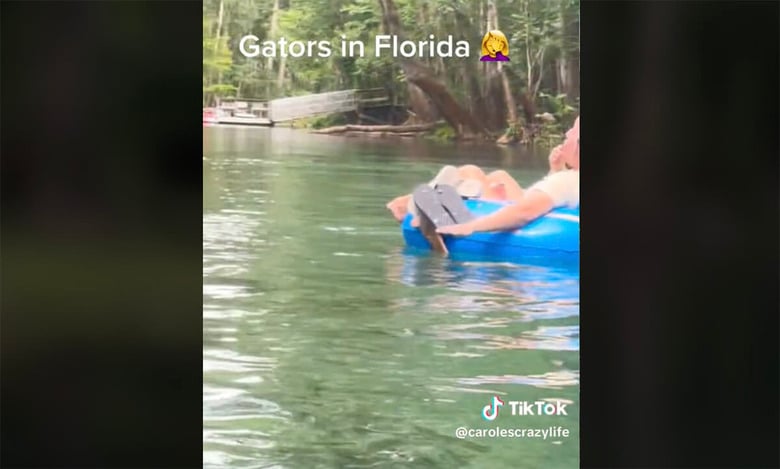 @carolescrazylife/TikTok