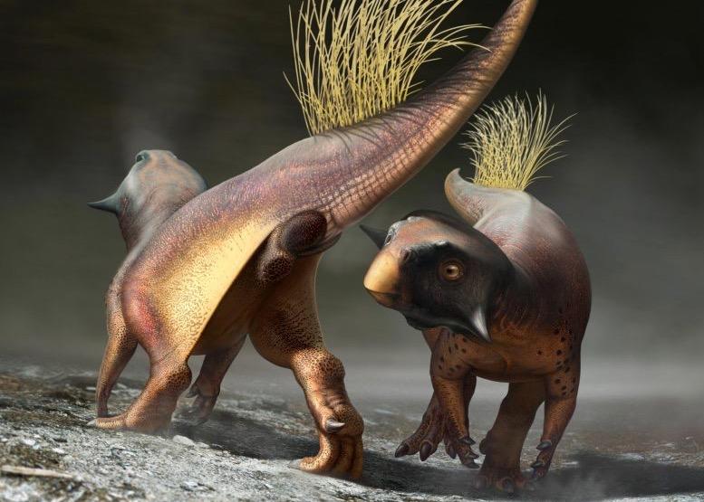 はじめて解明された恐竜のお尻の穴...... Bob Nicholls/Paleocreations.com 2020