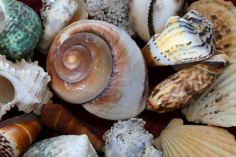 （写真はイメージです）Anthony-Unsplash