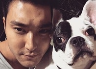 犬の外出時、口輪装着を義務づけるかで論争に　韓国最新ペット事情