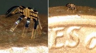 わずか0.5ミリの世界最小の遠隔操作型歩行ロボットが開発される