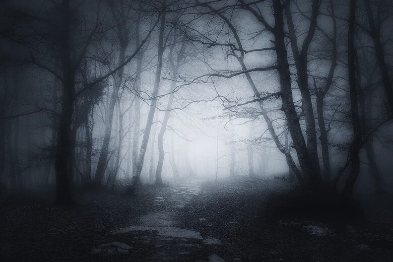 （写真はイメージです）　Mimadeo