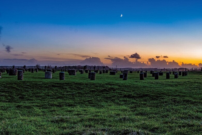 イングランド南部のウッドヘンジ。デンマークで最近発見された環状木柱列はこの遺跡と明確な類似点があるという　THE WALKER/GETTY IMAGES