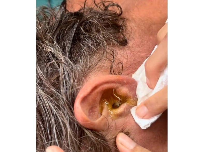 @SailingCatalpa / TikTok