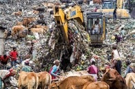 「聖なる牛と宝の山」──プラごみ5分の1を排出するインドのリアル