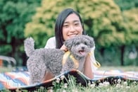 犬のしつけ資格取得で効率的に学べるドッグトレーニング方法