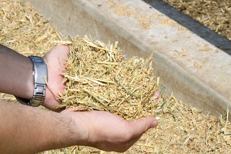 畜肉を健康に育てるためにこだわり抜いた飼料や家畜にとってストレスのない飼育環境づくりがおいしさの秘訣だ